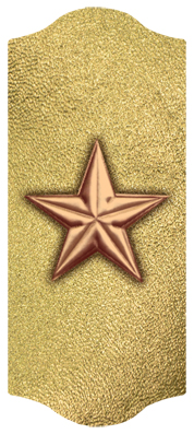 DARAY C 430 CP GD Star Copper Gold